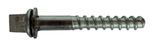 Шурупы путевые SS35